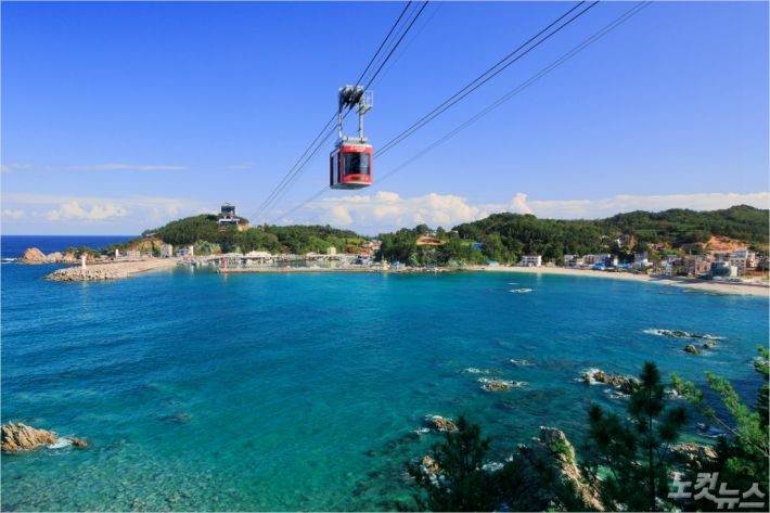 삼척중앙초등학교 이미지
