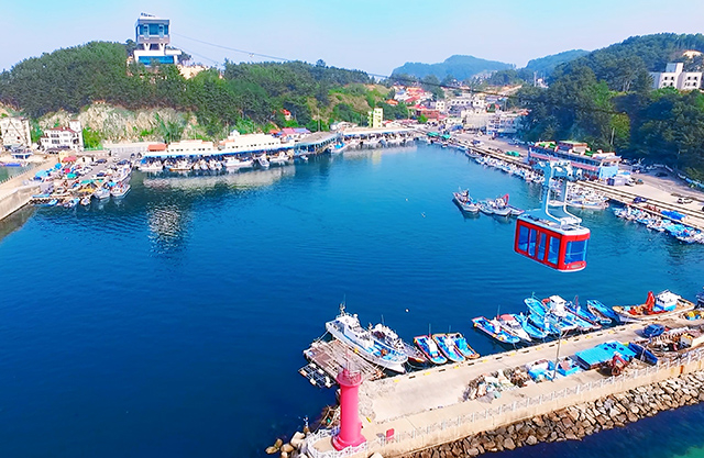 삼척중앙초등학교 이미지
