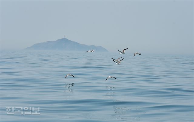우배배 이미지