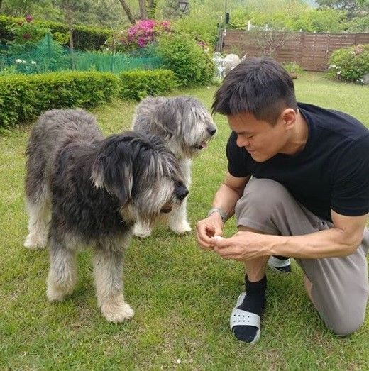 Park Jin Young released the everyday feeling of affinity.Park Jin Young told SNS on the 1st that #JYPhouse # Sapsali # Sapsali Two Sapsali who came to visit us at home.Like this fashionable dog is cute and lovable dog Korea Shiba Inu! Along with the sentence Oh pretty ^ ^ I raised a picture with a happy time with two Sapsali.In addition to the comfort wear of Park Jin Young, a large garden draws Snowy Road.Park Jin Young is a JYP entertainment chief, The Producers, actively acting as a singer.TWICEs Wat Is Love? Written recently by Park Jin Young has received a great love