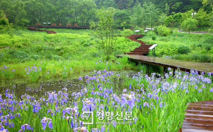 평강상점 이미지