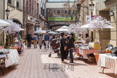 패밀리키즈이벤트 이미지
