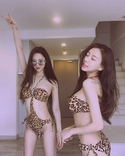 다희 이미지