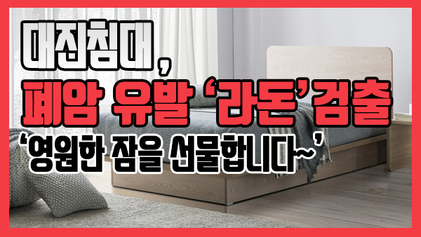 대진 이미지