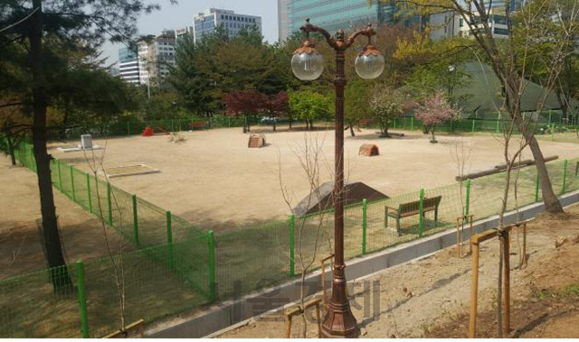 단장놀이터 이미지