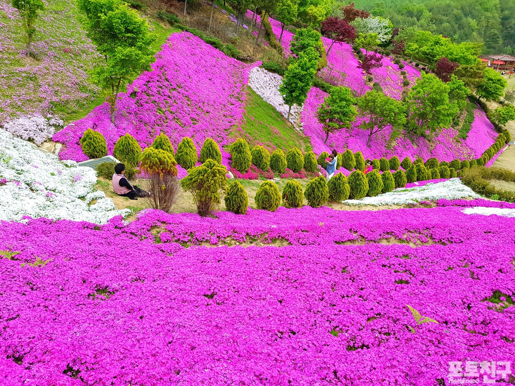 동산잔디 이미지