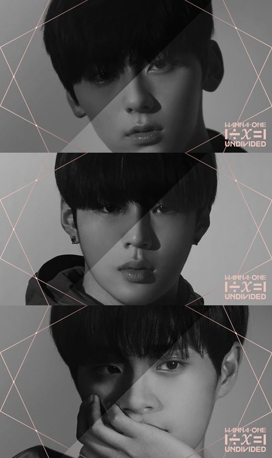 Wanna One, who is about to make a comeback with a special album, has released a personal teaser image. On the 8th, Wanna One posted a personal teaser image of Hwang Min-hyun, Ha Sung-woon and Lee Dae-hwi through official Twitter.Through the black and white images released, Hwang Min-hyun, Ha Sung-woon and Lee Dae-hwi showed intense eyes and raised expectations for the special album 1=1 (UNDIVIDED).1=1 (UNDIVIDED) is the second mini album 0 + 1=1 (I PROMISE YOU), a special album with a strong desire to complete the rosy golden age of Wanna One, which promised the golden age of 2018.The first unit project of Wanna One is included. The unit shows Wanna Ones various charms and infinite possibilities, but eventually shapes Wanna One, which will shine even more when it is one.Wanna Ones unit project will be released through Mnet Warner manuscript: X-CON from the unit formation process to the Producersss and new song work process.Meanwhile, Wanna One will be performing on its first world tour concert Wanna One World Tour-ONE: THE WORLD from June 1, and will perform a special album 1=1 (UNDIVIDED) on the 4th / Photo=YMC Entertainment