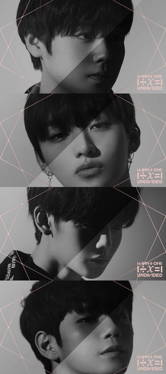 The teaser images of the group Wanna One Park Jihoon and Ong Seong-wu, Bae Jin Young and Yoon Ji-sung were released.On the 9th, Wanna One set out to preheat her special album 1x=1 (UNDIVIDED) teaser photo, which will be released on June 4th through official Twitter.Park Jihoon, Ong Seong-wu, Bae Jin Young and Yoon Ji-sung also showed off their black and white charisma following the release of Lee Dae-hwi, Hwang Min-hyun and Ha Sung-woon.Wanna One, who promised the golden age of 2018 with her second mini album 0 + 1 = 1 (I PROMISE YOU), presents her strong aspiration to complete the rosy golden age through 1x=1 (UNDIVIDED).1x=1 (UNDIVIDED) contains the results of Wanna Ones first unit project.The unit shows the various charms and infinite possibilities of Wanna One, but finally shapes Wanna One, which will shine even more when it is one.Wanna Ones unit project will be released through Mnet Wanna One Go:X-CON from the unit formation process to the producers and new song work process.It also selected fans and unit names.Meanwhile, Wanna One will be releasing its special album 1x=1 (UNDIVIDED) on the 4th, starting on June 1st, on the first world tour concert Wanna One World Tour-ONE: THE WORLD./ Photo: YMC Entertainment