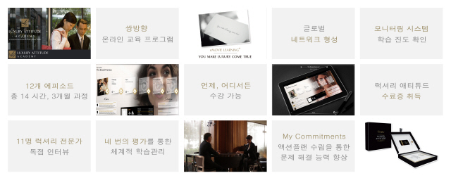 럭셔리인사이트 이미지