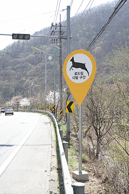 <사진>로드킬 표지판 [출처=녹색연합]　