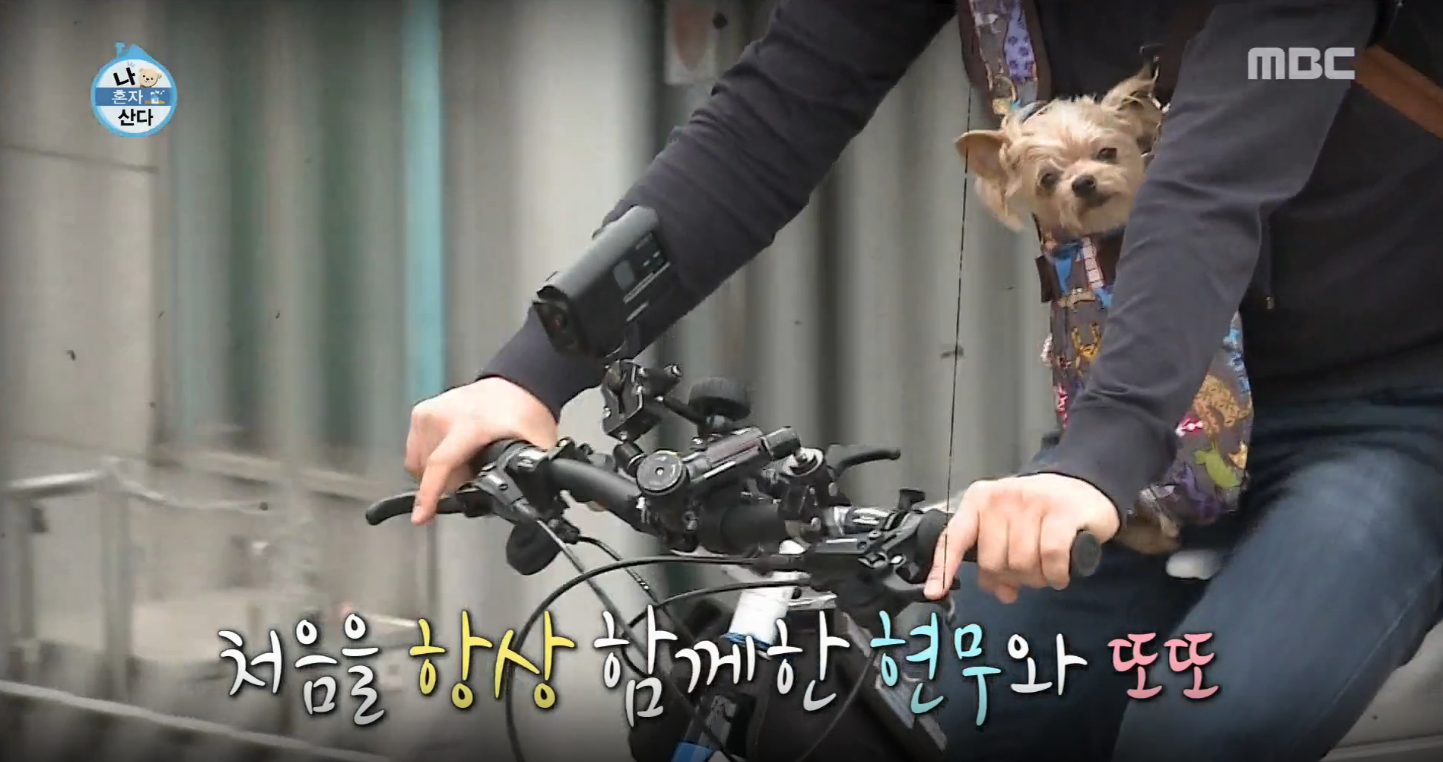 또또행복 이미지