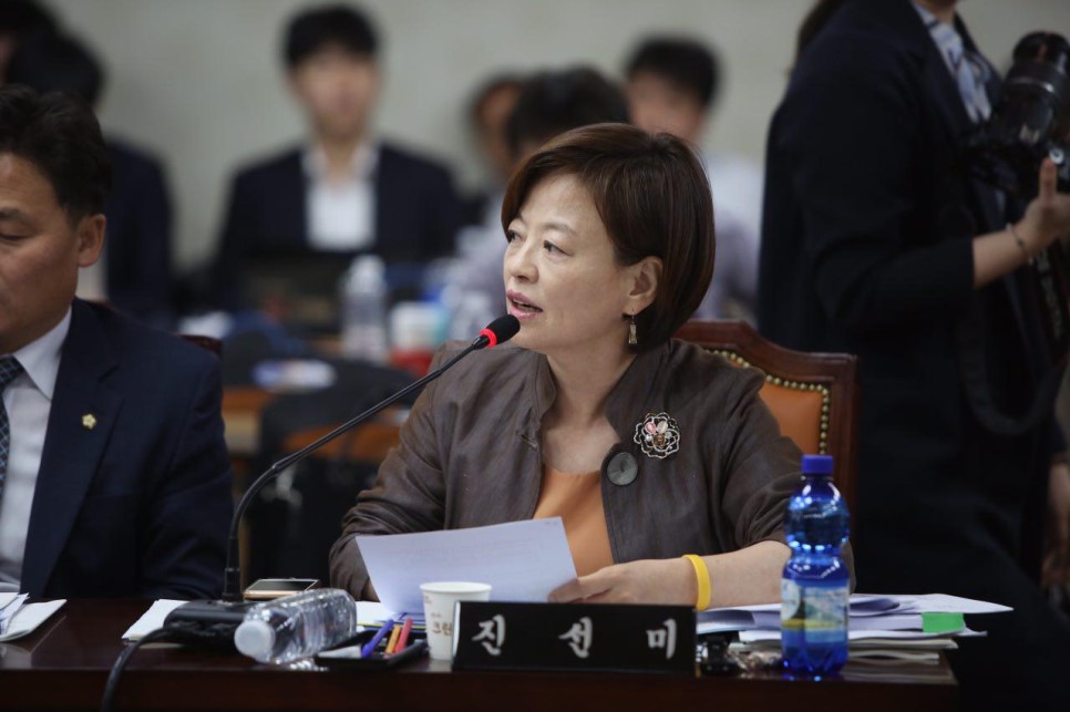 진선미 이미지