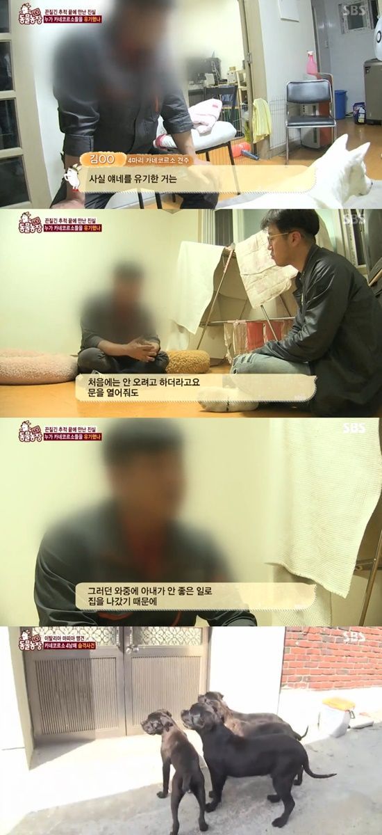 카네 이미지
