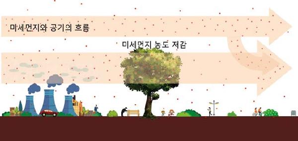 미세잎 이미지