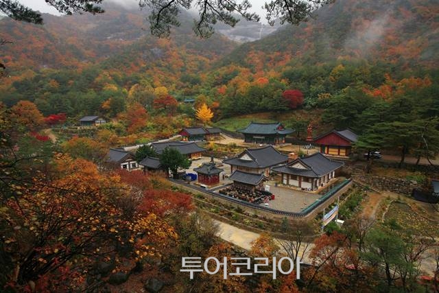 삼화사 이미지
