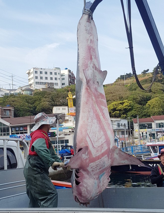 아침바다수산 이미지