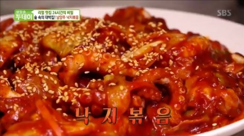 힘찬낙지 이미지