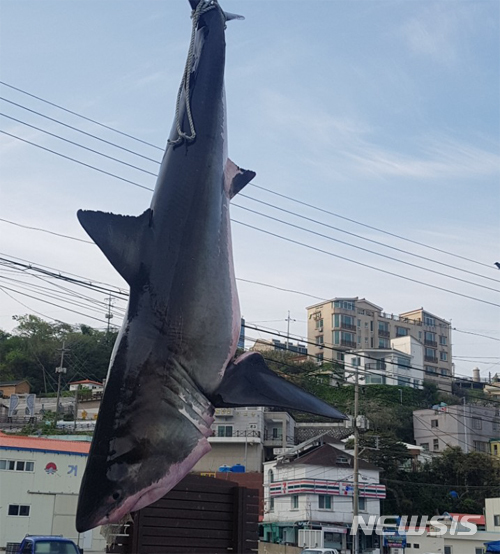 아침바다수산 이미지