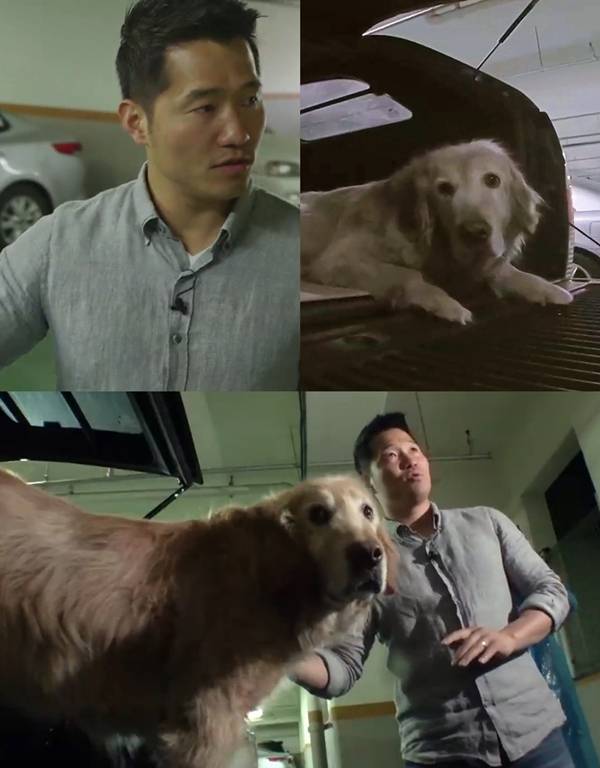 피딜 이미지