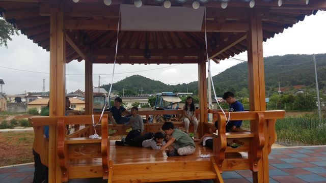 정자 이미지