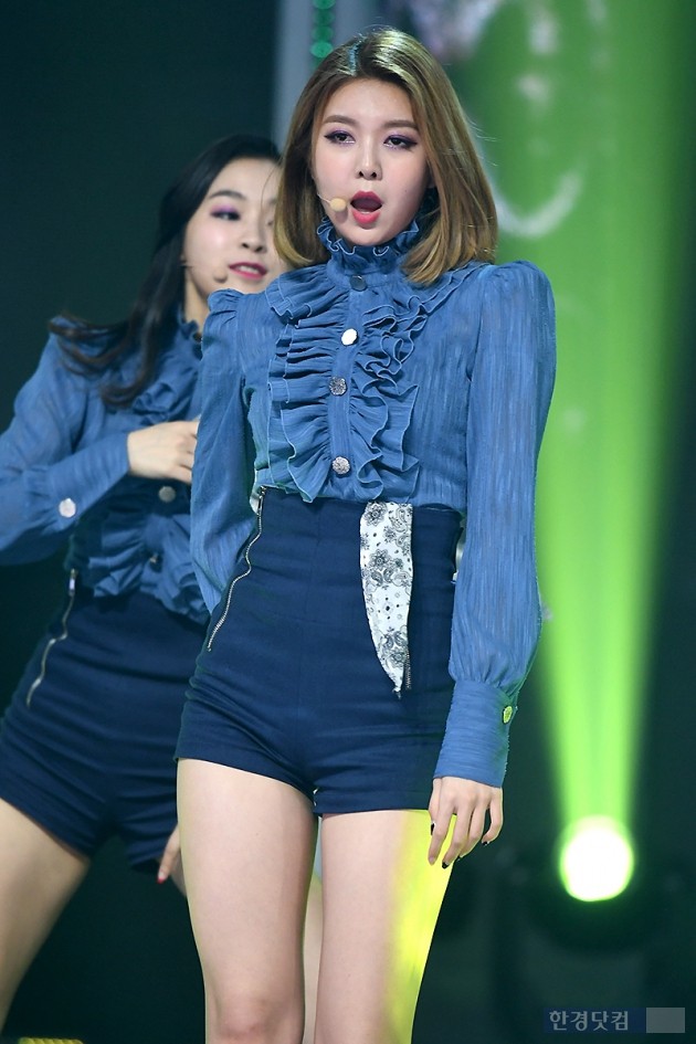 다미 이미지