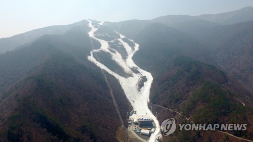 정선군스키협회 이미지