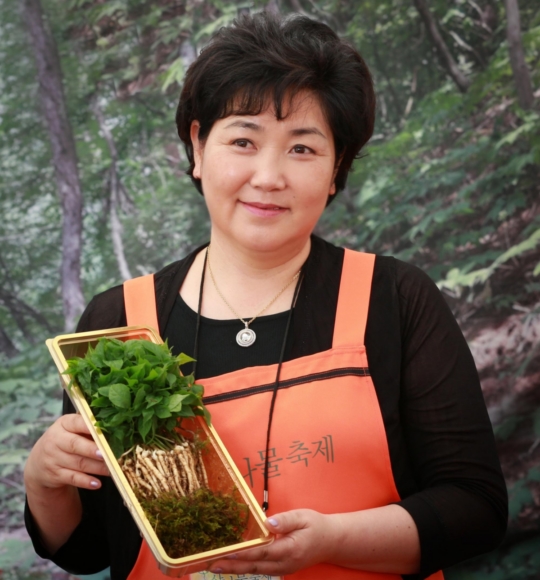강원산양산삼 이미지