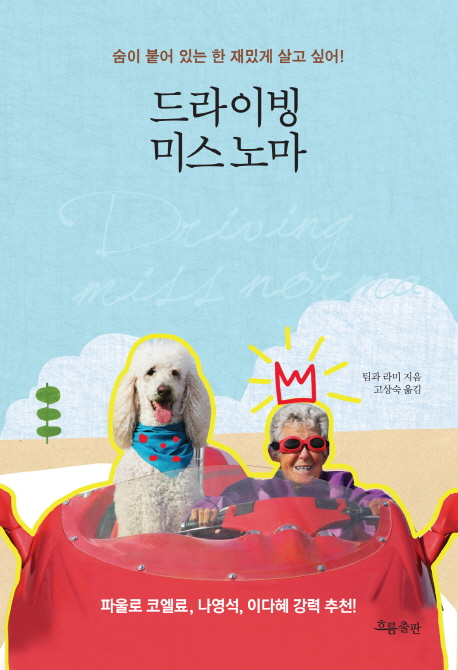 미스 이미지