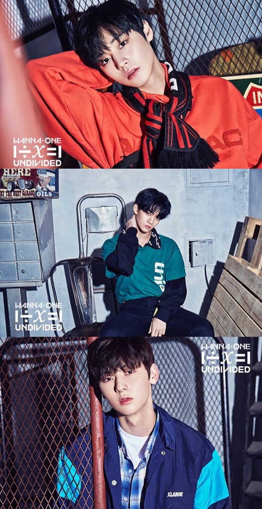 Comback Wanna One Park Jihoon and Hwang Min-hyeun and Bae Jin Young, always beautiful look Group Wanna One Park Jihoon, Hwang Min-hyeun and Bae Jin Young have raised expectations for a comeback.On the 23rd, Wanna One released a special album photo of Park Jihoon, Hwang Min-hyeun and Bae Jin Young through official SNS.It is a special photo of 1x=1 (UNDIVIDED) which is about to be released on June 4th.In the photo, Park Jihoon, Hwang Min-hyeun and Bae Jin Young pose in stylish casual.Especially, Wanna One members more up-and-coming appearance catches the eye.The album 1x=1 (UNDIVIDED) also features Wanna Ones unit triple position, Lin Onmi, The Hill and Nambawan, as well as the entire title song Light.Meanwhile, Wanna Ones special album 1x=1 (UNDIVIDED) will be released on June 4.Prior to this, Wanna Ones first world tour concert Wanna One World Tour One: The World will be held at Gocheok Sky Dome in Seoul for three days starting June 1.YMC