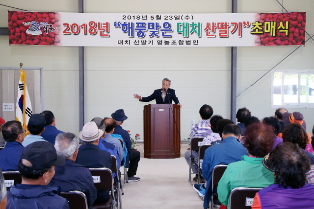 달달하동 이미지