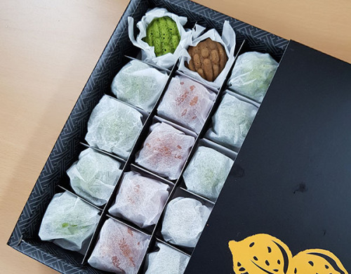 레인보우팜 이미지