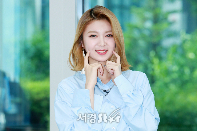 다미 이미지