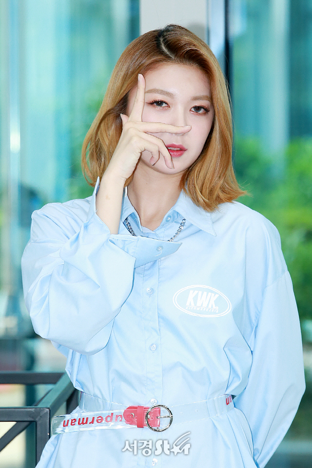 다미 이미지
