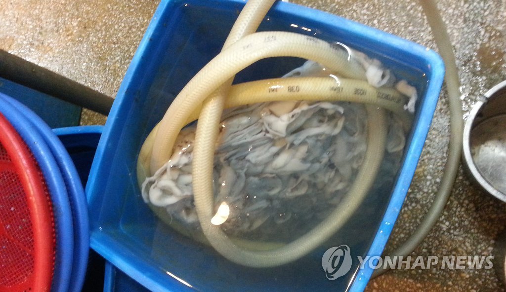 해동유통 이미지