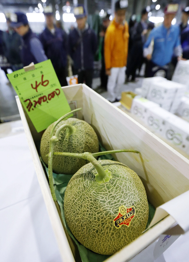 멜론 이미지