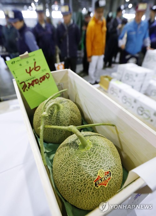 멜론 이미지