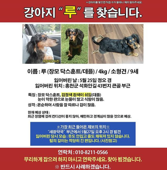 루 이미지