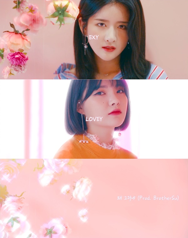 러비 이미지