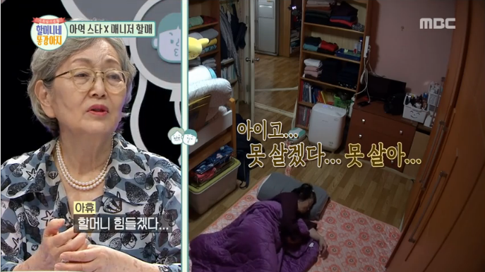 똥강아지 이미지
