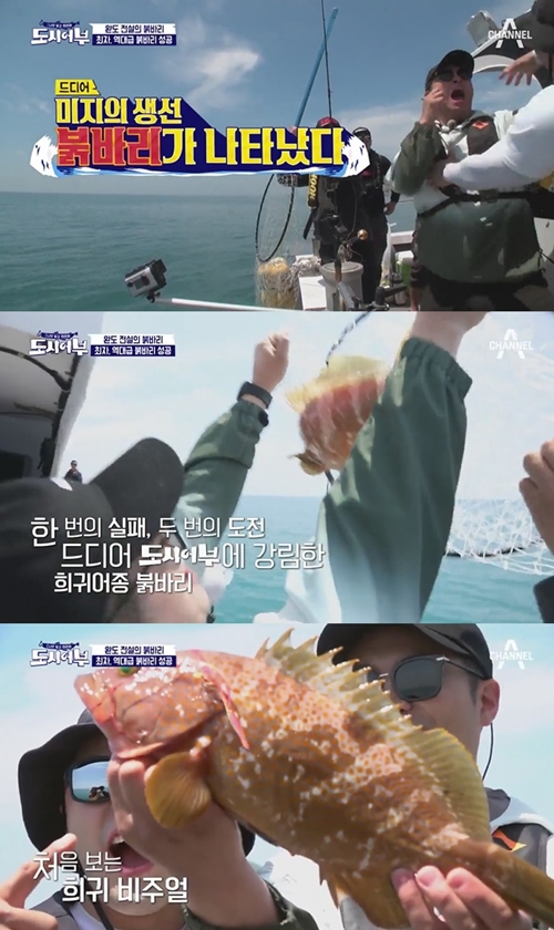 도시어부 이미지