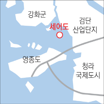 도심속에작은야생화 이미지