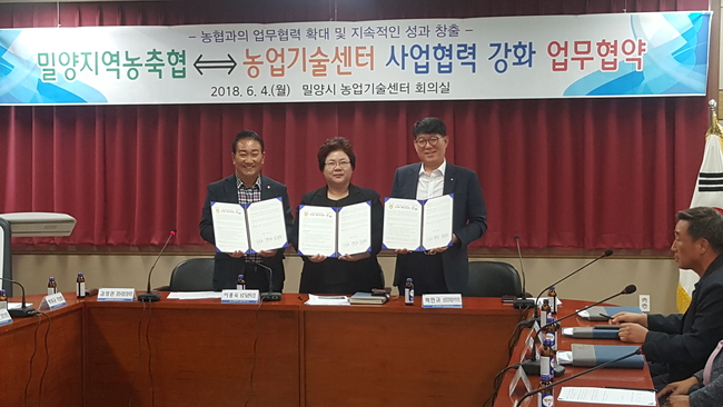 밀양정보기술 이미지