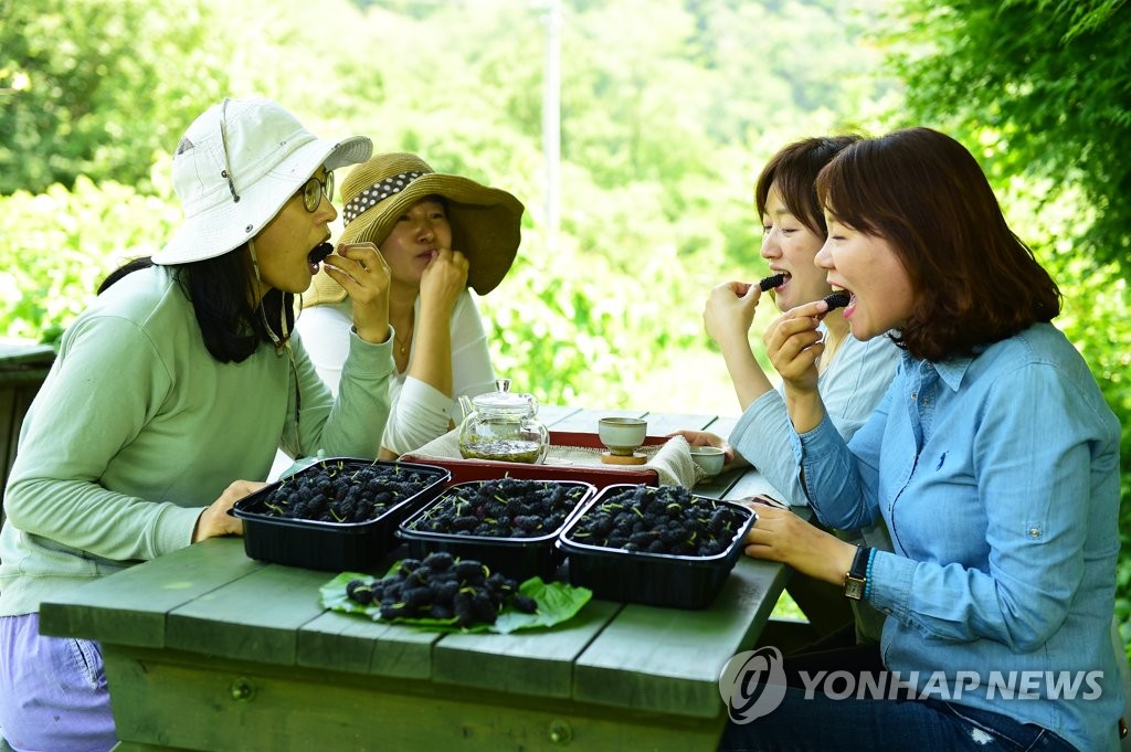 오디 이미지