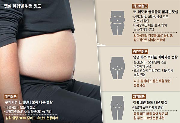 뱃살은 그 모양새에 따라 건강에 미치는 영향이 다르다. 가장 안 좋은 뱃살은 윗배부터 나왔으면서 울룩불룩하게 접히는 뱃살이다. /사진=신지호 헬스조선 기자, 그래픽=김하경