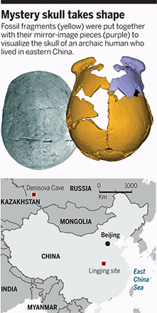 중국 동부 허난성에서 발굴된 약 11만 년 전 인류의 두개골 ‘쉬창 1’은 눈 위 뼈가 튀어나와 있고 납작하면서 좌우 폭이 넓다. 무엇보다도 뇌용량이 1800cc에 이르러 현생인류보다 훨씬 크다. 아래 지도는 화석이 나온 링징(Lingjing site)의 위치를 보여준다. - 사이언스 제공