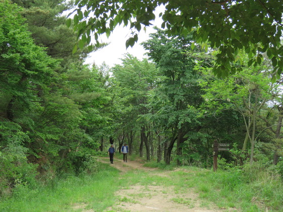 구봉산은 등산로 초입만 다소 오르막이 있을뿐 평지같은 산책길이다. [사진 김순근]