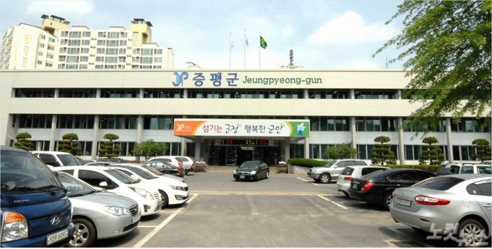 신호등카서비스 이미지