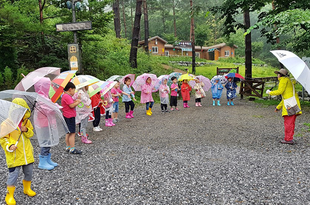 연화산 유아숲체험원 이미지