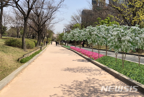 나무건설 이미지