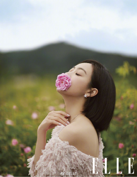엘르 그라스 이미지